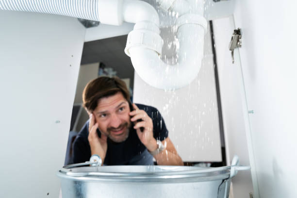 Best Plumbing Services Near Me  in North Les, AK